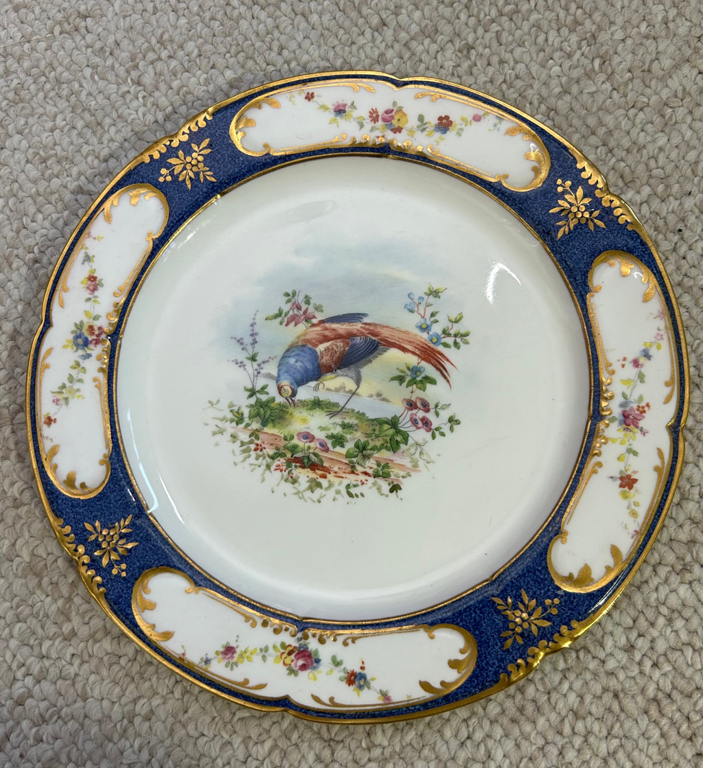 Fabulous set of 12 Royal Doulton Plates 10”