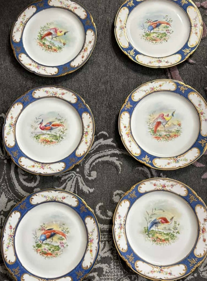 Fabulous set of 12 Royal Doulton Plates 10”